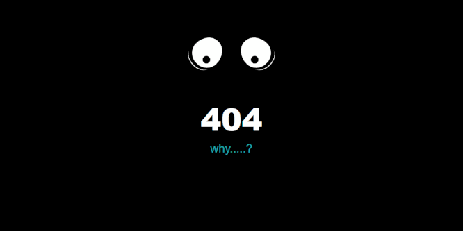 404 ERROR PAGE
