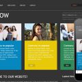 Halow website template and Mobile Template