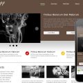 Stuff fancy look corporate web template and Mobile template