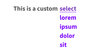CUSTOM SELECT