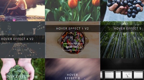 IMAGE HOVER EFFECTS