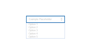 SELECT BOX WITH PLACEHOLDER