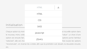 SELECT MENU
