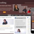 Consulting webtemplate and mobile webtemplate for corporate businesses