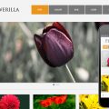 Flowerilla gallery web template and mobile web template
