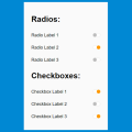 ANIMATED CHECKBOX AND RADIO BUTTONS