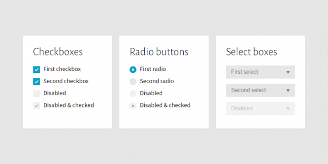 CUSTOM CHECKBOXES, RADIO BUTTONS AND SELECT BOXES