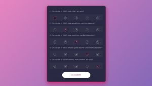 CUSTOM RADIO BUTTONS SURVEY