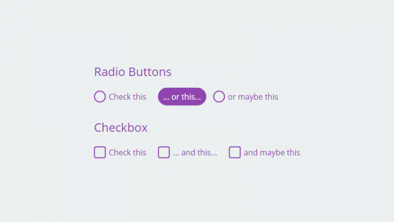 PURE CSS FANCY CHECKBOX/RADIO