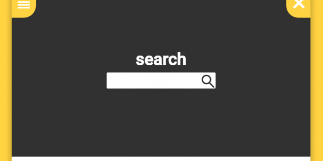 SEARCH ANIMATION