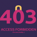 PAGE 403 – ACCESS FORBIDDEN