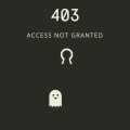 ACCESS NOT GRANTED – 403 PAGE TEMPLATE