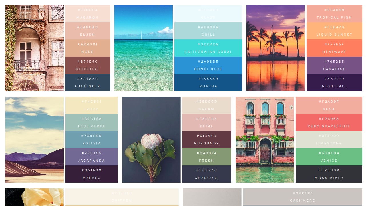 COLOR PALETTES