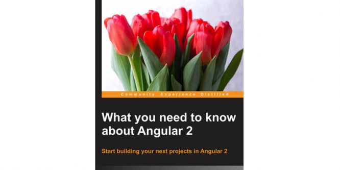 WHAT YOU NEED TO KNOW ABOUT ANGULAR 2