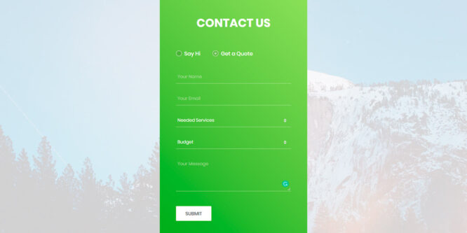 ANIMATED CONTACT FORM