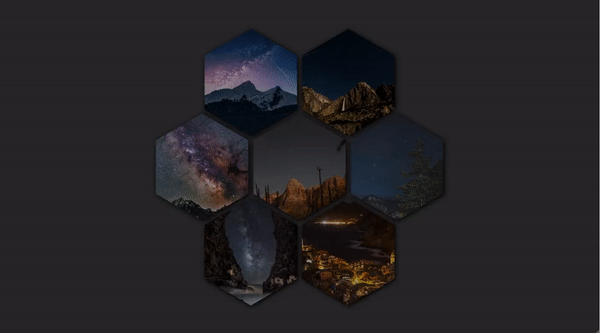 HIVE PHOTO GALLERY GRID