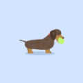 SAUSAGE DOG CSS ONLY ANIMATION
