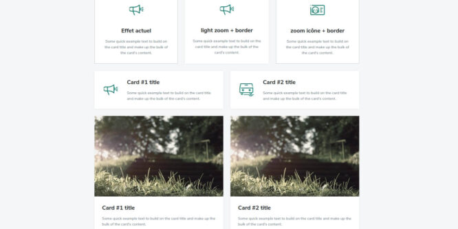 CARDS HOVER EFFECTS