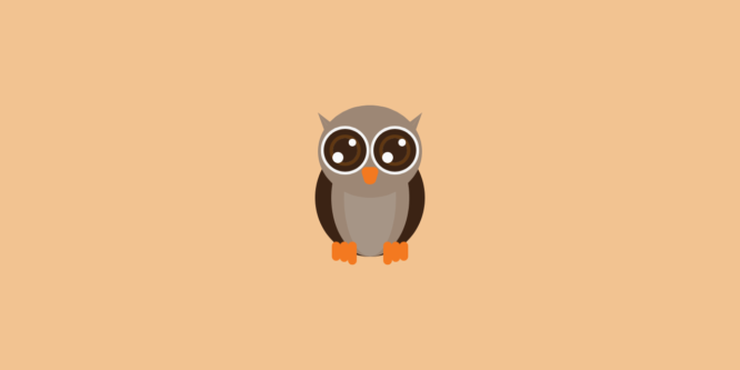 CUTE OWL CSS ONLY