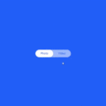 ANIMATED CSS SWITCH BUTTON