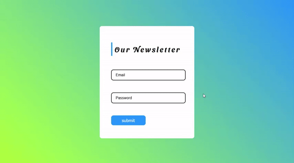 CSS NEWSLETTER WITH ANIMATED FLOATING INPUT LABELS