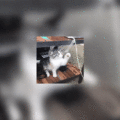 BLURRED VIDEO EFFECT WITH CSS FILTER