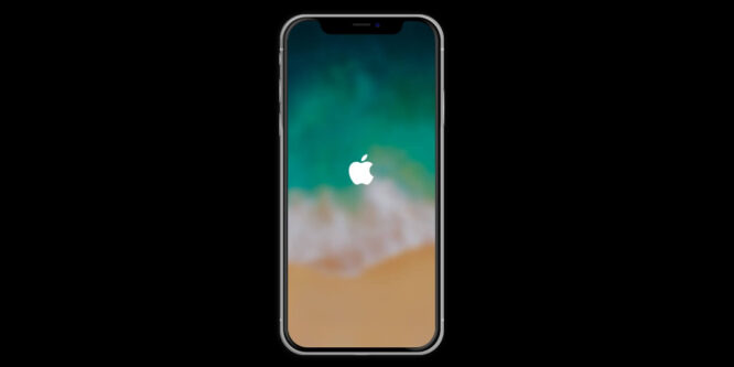 PURE CSS IPHONE X