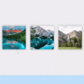 BOOTSTRAP 4 IMAGE HOVER EFFECTS